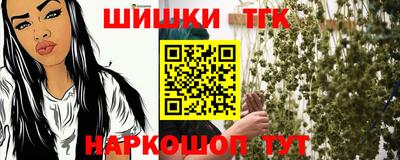 спиды Дубна