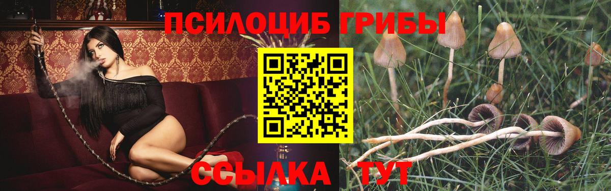 Псилоцибиновые грибы Psilocybe  Галлюциногенные грибы Psilocybine cubensis  Магнитогорск  Вход с VPN 