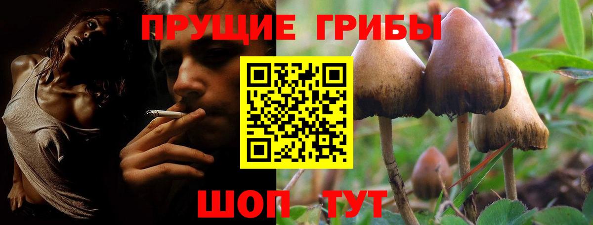 Псилоцибиновые грибы ЛСД Магнитогорск